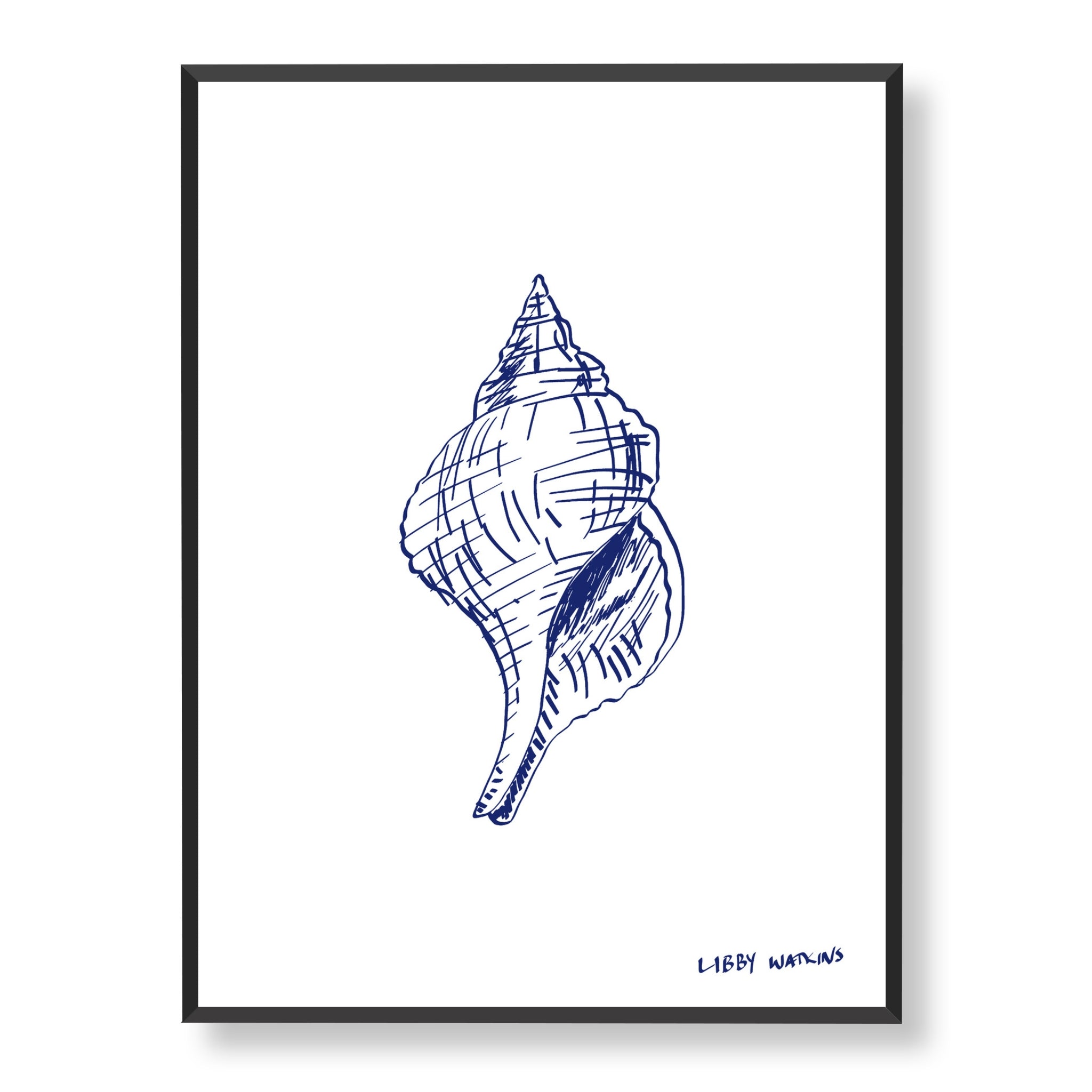 Trapezium Conch Sea Shell in Indigo Canvas Print