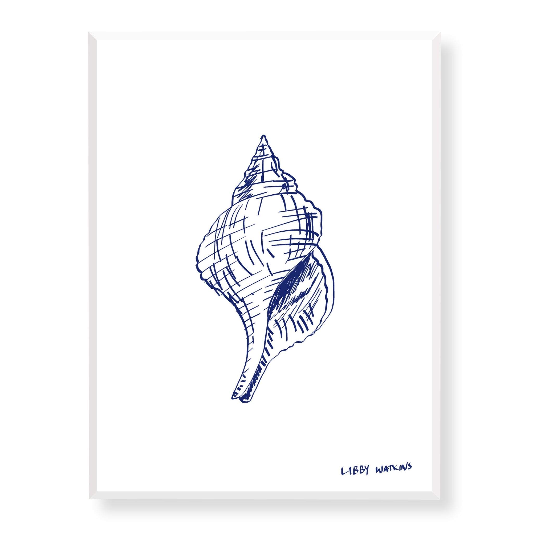 Trapezium Conch Sea Shell in Indigo Canvas Print