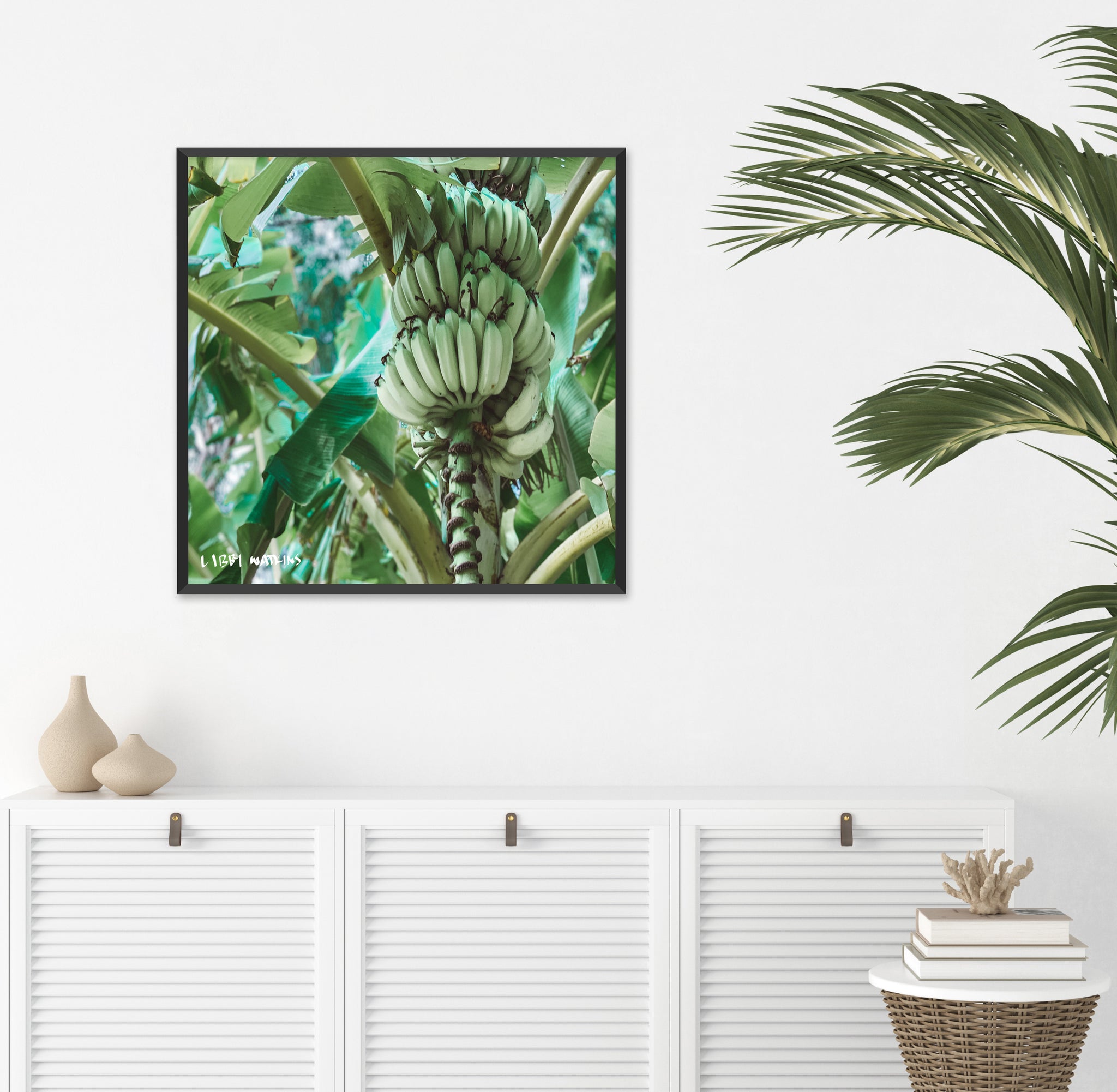 Banana Palm Canvas Print