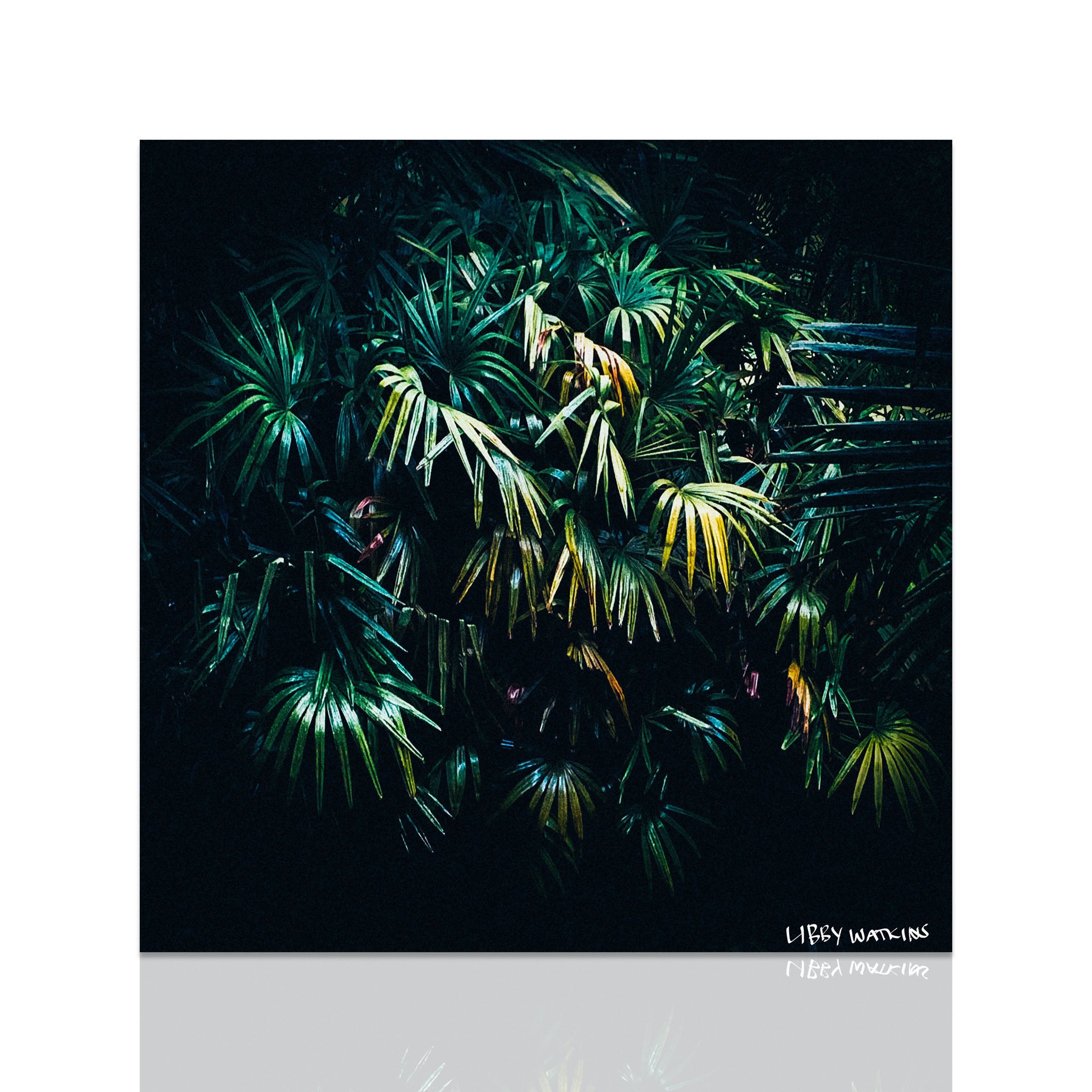 Rainforest Canvas Print