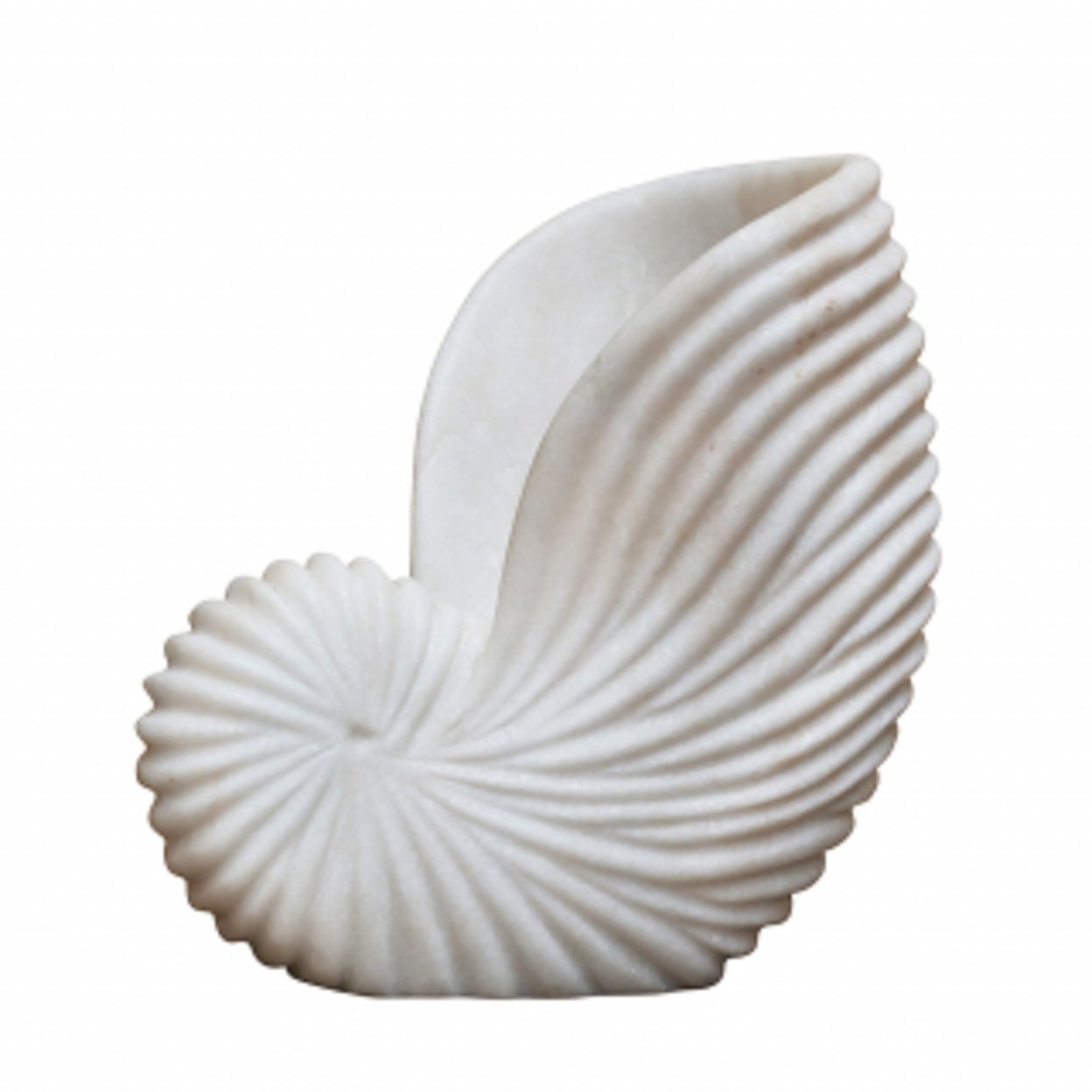 Nautilus Marble Shell - Medium